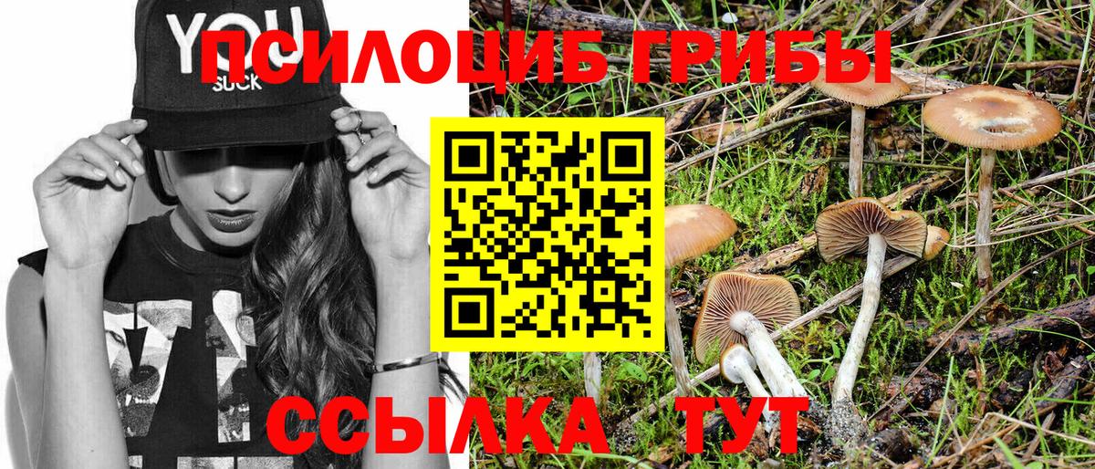 Псилоцибиновые грибы Psilocybe  Галлюциногенные грибы Psilocybe  Киселёвск  Вход с VPN 